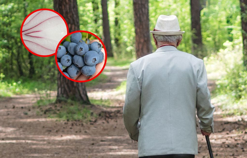 Najlepsze produkty dla mózgu. Chronią przed demencją i udarem