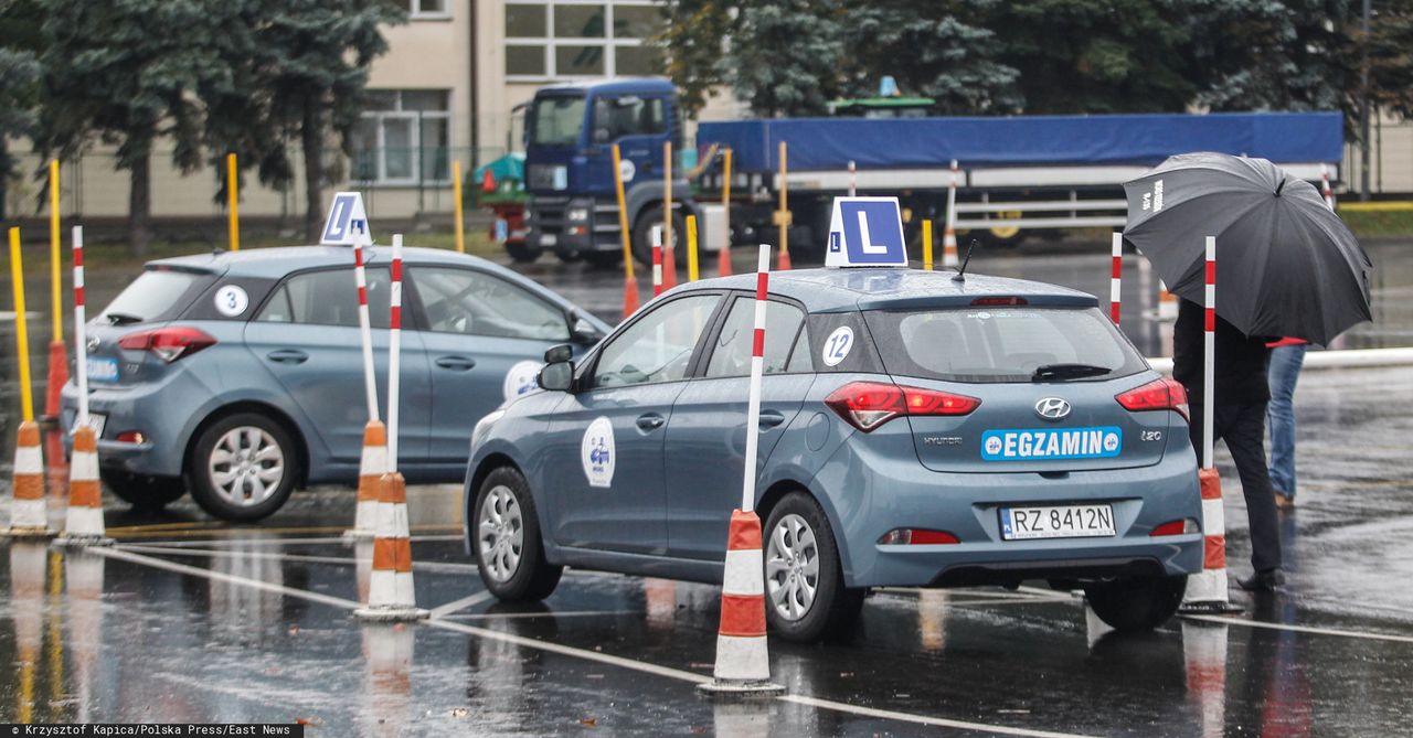 Koronawirus w Polsce. Przerwa w egzaminach na prawo jazdy. Wybrane WORD-y wstrzymują działalność z powodu koronawirusa