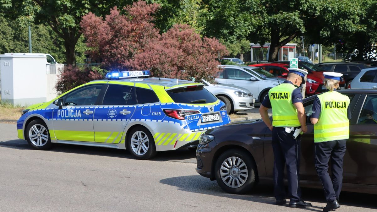 Tego w aucie przewozić nie można. Policja zabierze dowód rejestracyjny