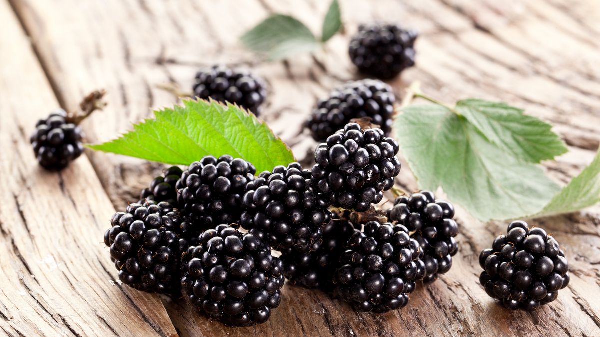 Blackberries with leaves.
Blackberries with leaves on a old wooden table.
ValentynVolkov