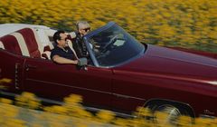 Użytkownicy bohaterami kampanii serwisu Otomoto