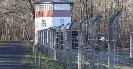 Abażur z ludzkiej skóry. Ponownie zbadali makabryczny eksponat