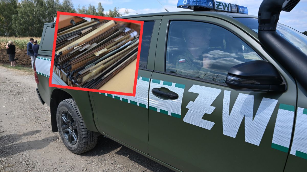 Zdjęcie ilustracyjne