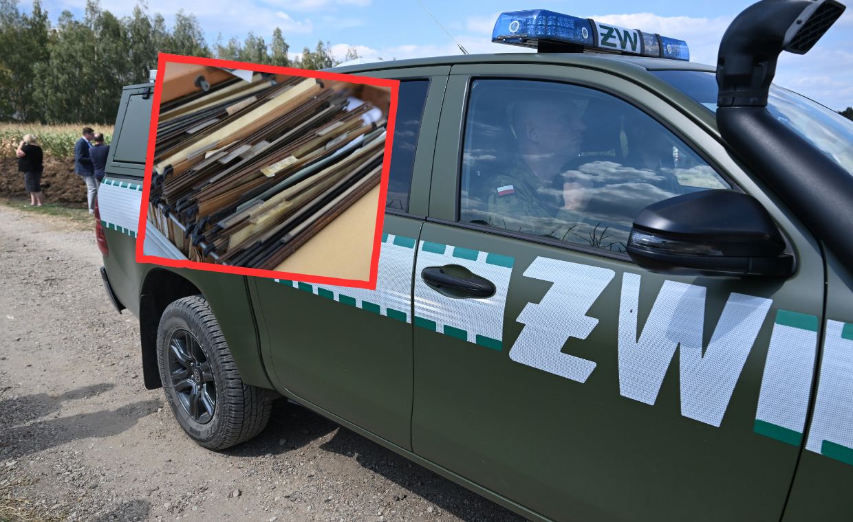 wiadomości,aktualności,WP Wiadomości Dokumenty wojskowe na prywatnej działce. Służby nie reagowały