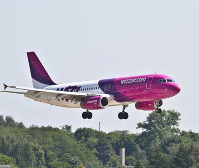 Nowe loty z Poznania. Oto gdzie polecimy już w przyszłym roku