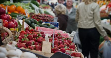 Greckie truskawki udają polskie. Sprzedawcy oszukują klientów?