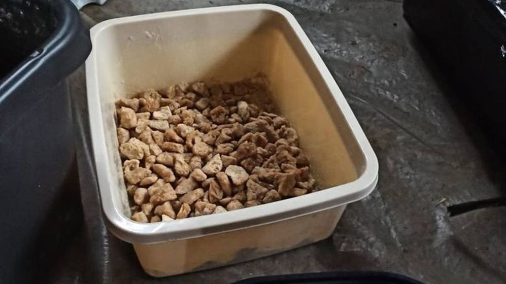 Pod przykrywką hodowli psów produkowali narkotyki