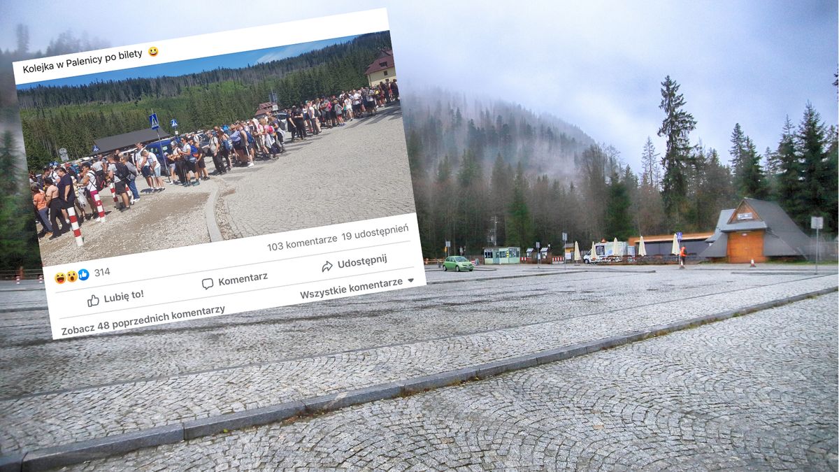 Taka kolejka ustawiła się do kas TPN w Palenicy