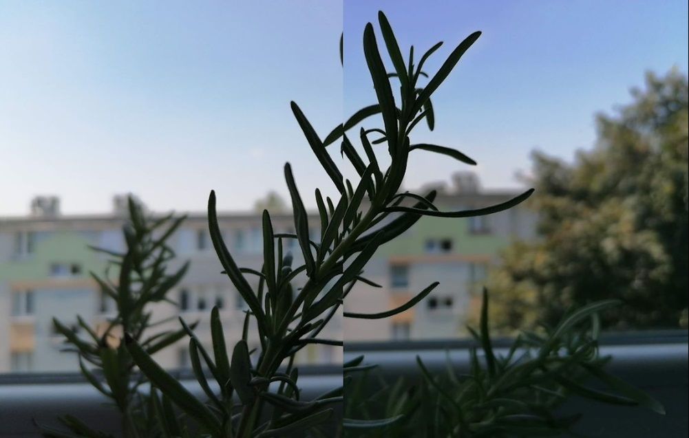 Huawei P30 lite okiem fotografa. W tej cenie jest świetnie 5