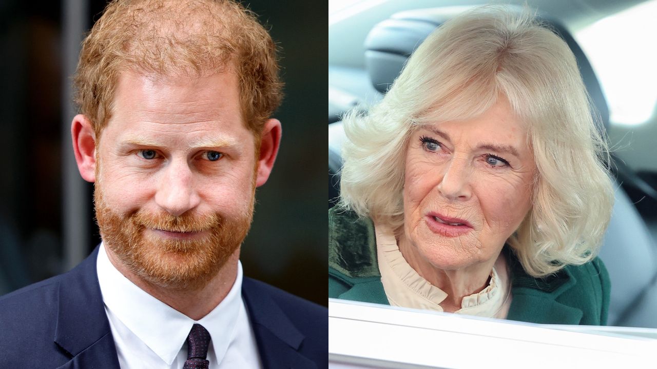 Camilla skróciła spotkanie Harry'ego z królem? Nie chciała go u boku ojca