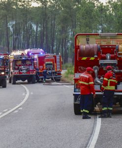 Portugalia walczy z pożarami i ekstremalną pogodą. Plażowicze uciekają z plaż, a ambasada ostrzega