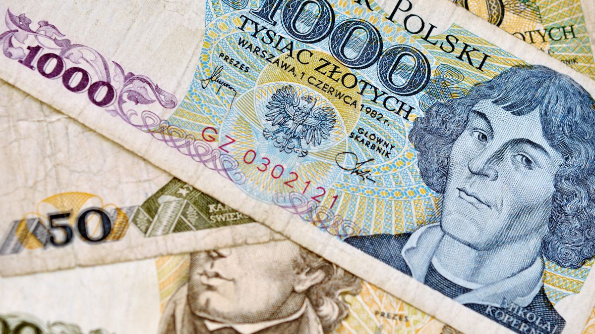 polskie, banknoty, bank, banknot, biznes, bogactwo, chleb, kopernik, deficyt, finanse, inwestycja, polska, jedzenie, kartka, kolor, kultura, narodowy, notatka, numer, papier, podatek, podejmowania, polski, powodzenie, prl, rachunek, reglamentowany, stary, waluta, wymiana, wynagrodzenie, wzór, zielony, znak, 50, 100, 1000