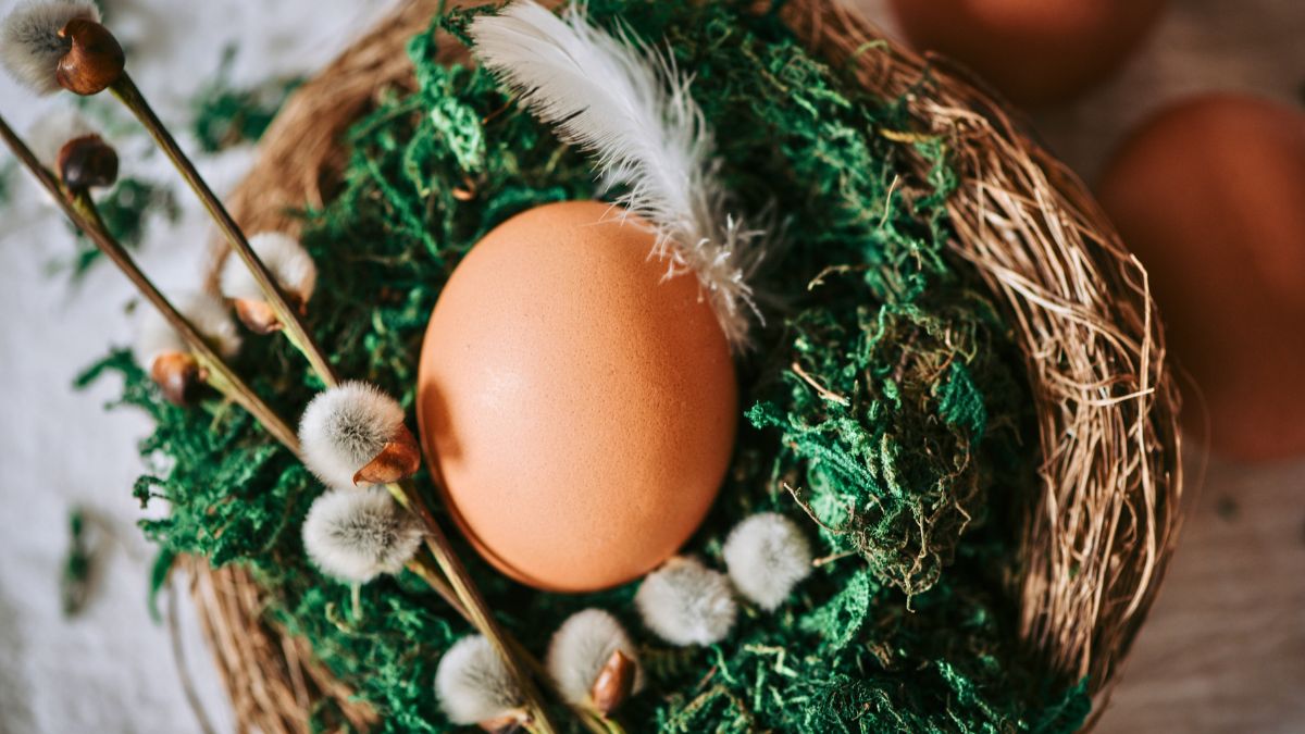 Ozdoba wielkanocna z mchu i bazi na świąteczny stół 
