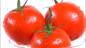 Co się dzieje, gdy codziennie pijesz sok pomidorowy? (WIDEO)