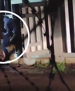Bezwładna kobieta przenoszona za płot. Pokazali nagranie