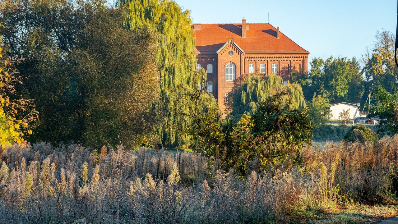 Wągrowiec: Złota jesień uchwycona na zdjęciach