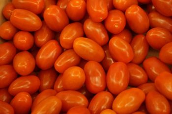 Import warzyw z Maroka uderzy w producentów pomidorów?