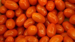 Import warzyw z Maroka uderzy w producentów pomidorów?