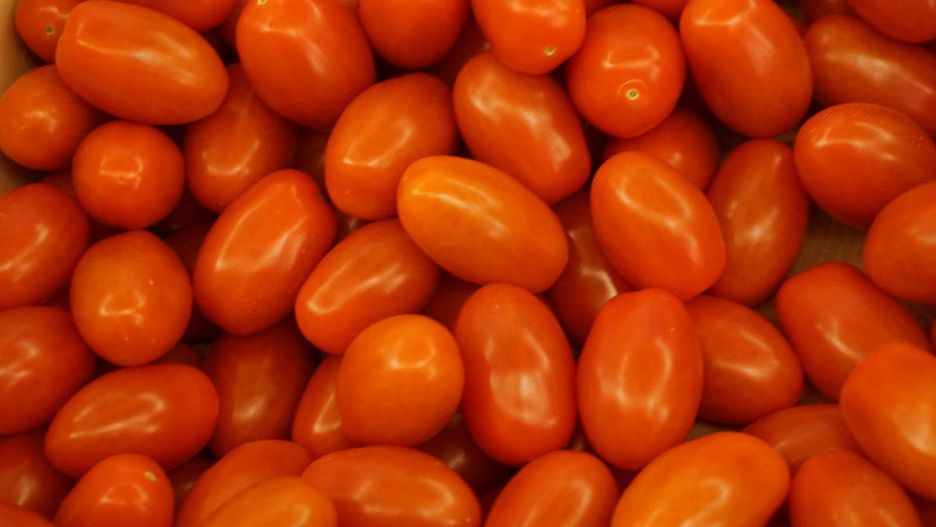 Import warzyw z Maroka uderzy w producentów pomidorów