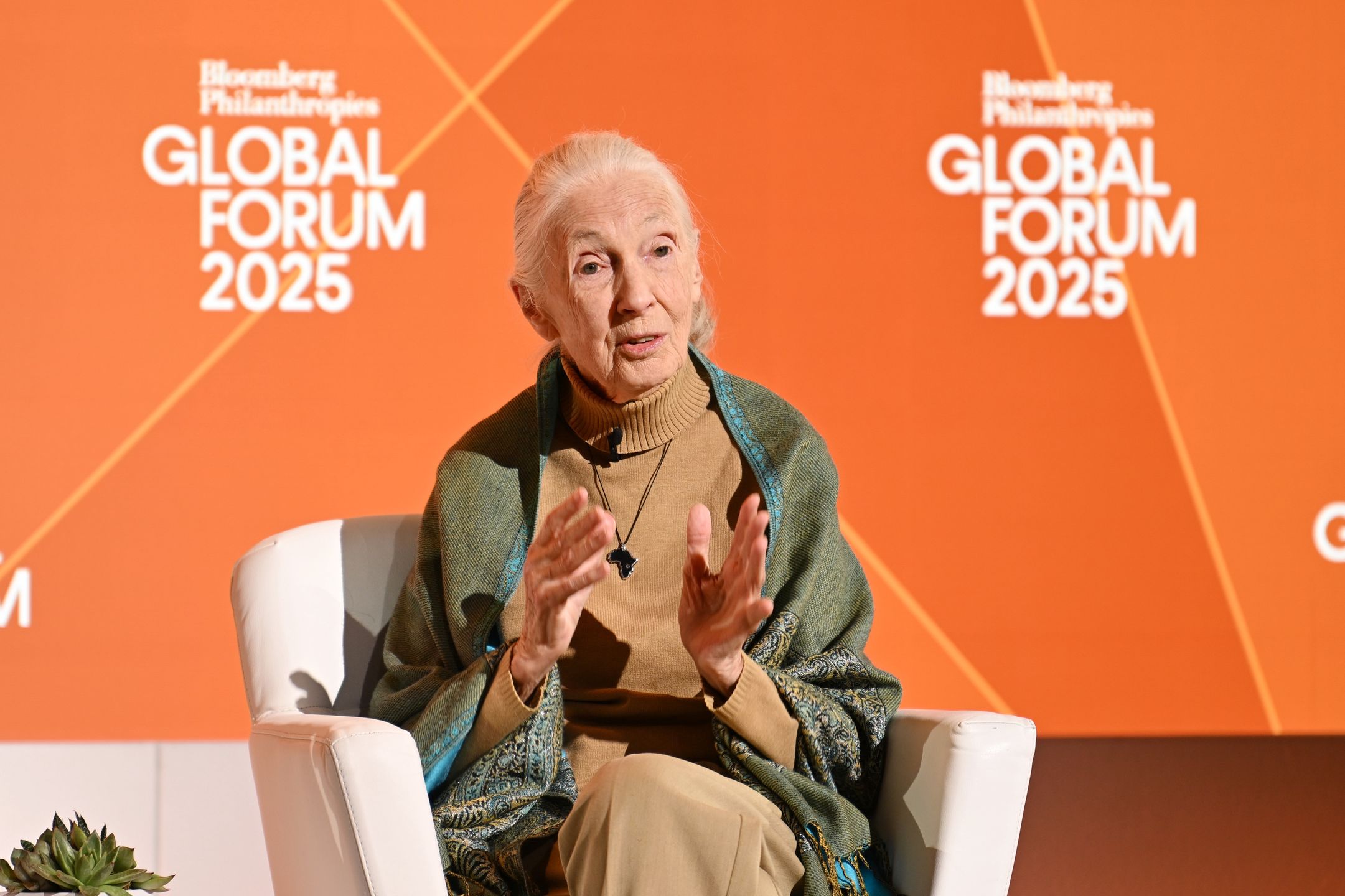 Jane Goodall 24 września 2025 roku