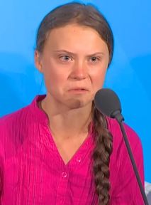 Is this the end of Greta Thunberg? "She effectively discredited herself"