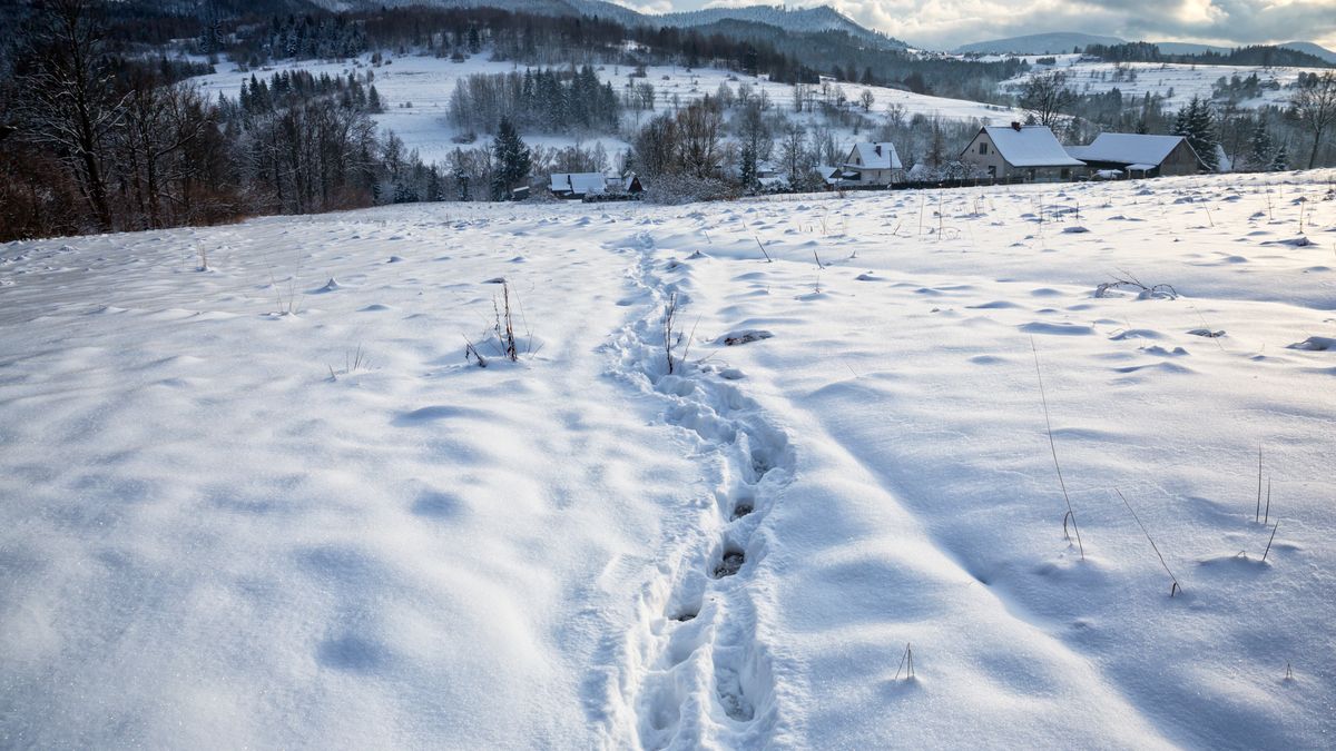 GOPR-owcy apelują o ostrożność na szlakach