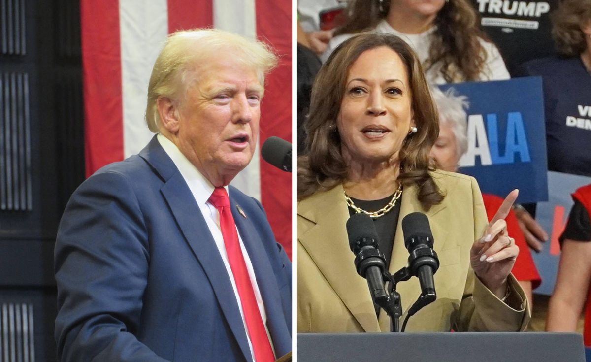 Donald Trump, Kamala Harris, sondaż Harris vs Trump. Nowy trend w sondażach