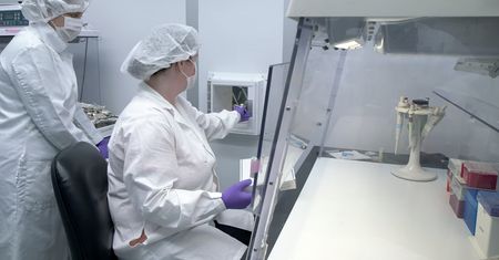 Naukowcy znajdują bogatą materię organiczną w próbkach z asteroidy Ryugu
