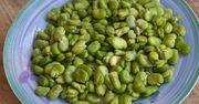 Czy można jeść surowy bób? Wiele osób nie ma o tym pojęcia