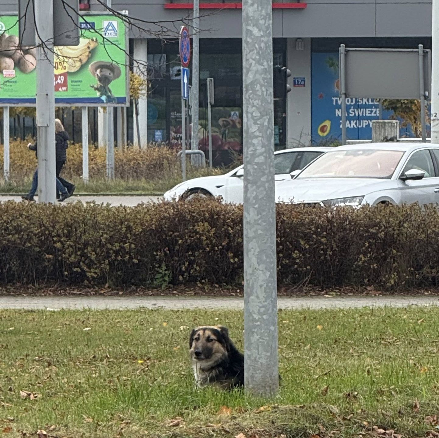 TOZ WŁOCŁAWEK 