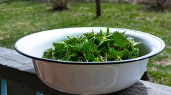 Naturalny lek na cukrzycę. Odbudowuje komórki w trzustce