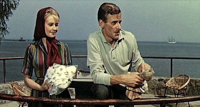 "Żona dla Australijczyka"