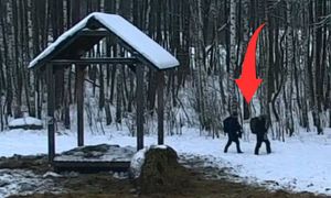 Leśnicy grzmią. Pokazali, co zrobili w lesie. "Surowo zabronione"