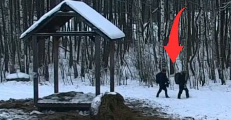 Leśnicy grzmią. Pokazali, co zrobili w lesie. "Surowo zabronione"