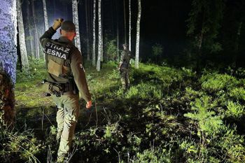 Leśnicy chcą kupować lasy. Absurd? Takie ogłoszenie dodali