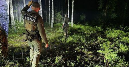 Leśnicy chcą kupować lasy. Absurd? Takie ogłoszenie dodali