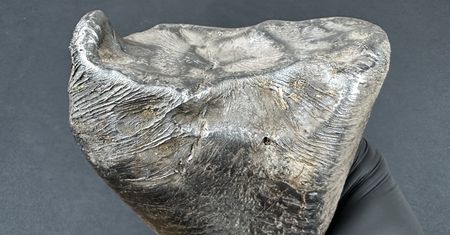 Spadł w gminie Zadzim. Meteoryt waży 2,9 kg
