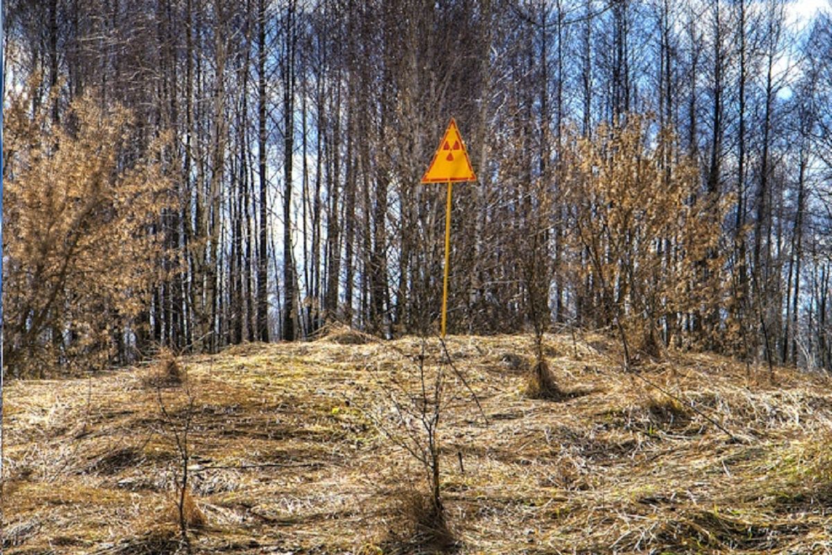 Rosjanie robią okopy w Czerwonym Lesie. "Promieniują sami siebie"
