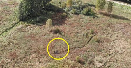 Wstrząsające odkrycie. Strażacy puścili  drona nad polami w Lubartowie