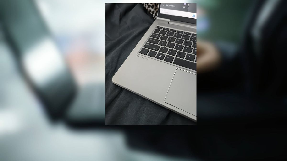 Usunął orła z laptopa