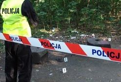 Ciało w spalonym samochodzie. Co się stało nad Odrą?