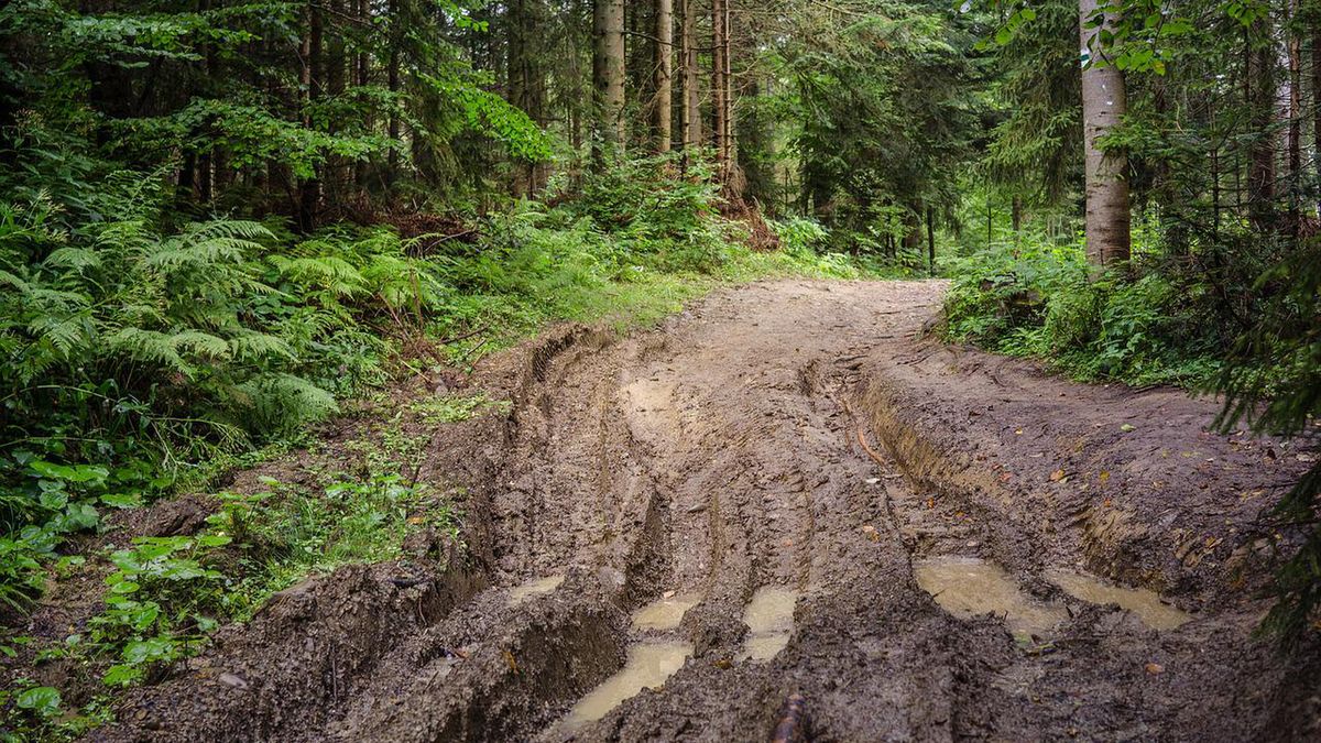 Wojsko zniszczyło drogi. Przedstawiciel PiS lekceważy problem. "Co gdyby "ruski" przeszedł przez Bug". Zdjęcie poglądowe 