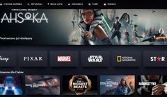 Disney+ od listopada rozpocznie walkę ze współdzieleniem haseł