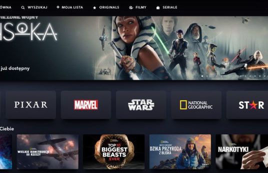 Disney+ od listopada rozpocznie walkę ze współdzieleniem haseł