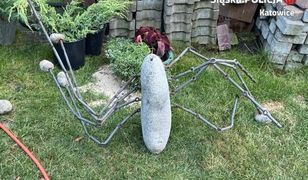 Katowice. Ogrodowi złodzieje już złapani. W magazynie mieli także inne "rarytasy"