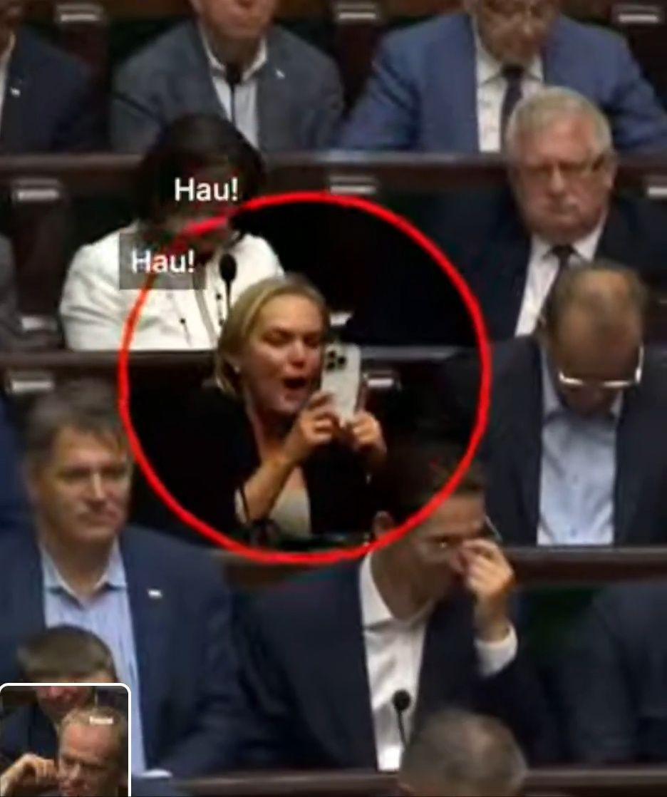Dominika Chorosińska w Sejmie