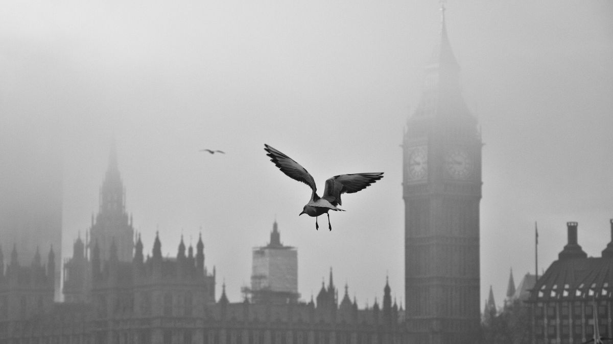 Mgła unosząca się nad Londynem