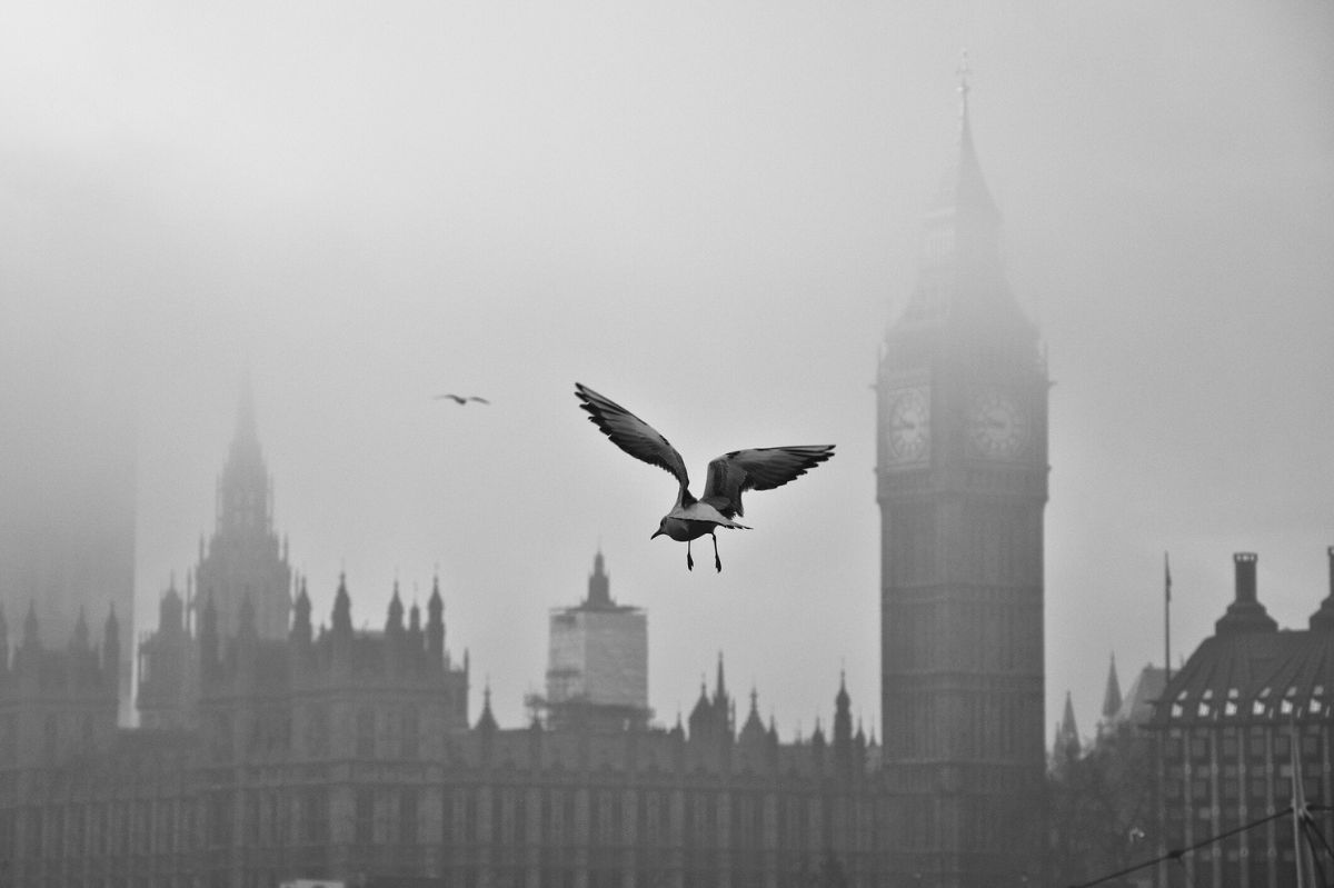 Mgła unosząca się nad Londynem