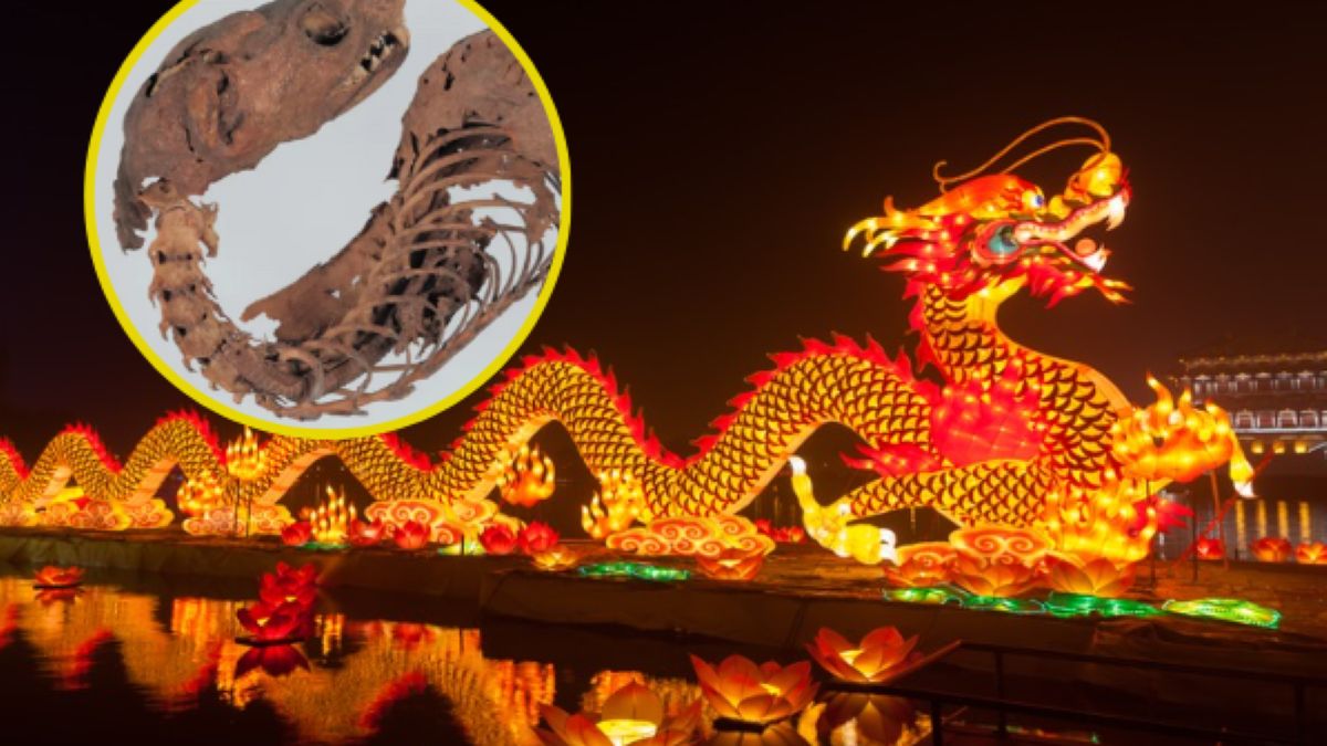 Odkryto tożsamość japońskiego "smoka"