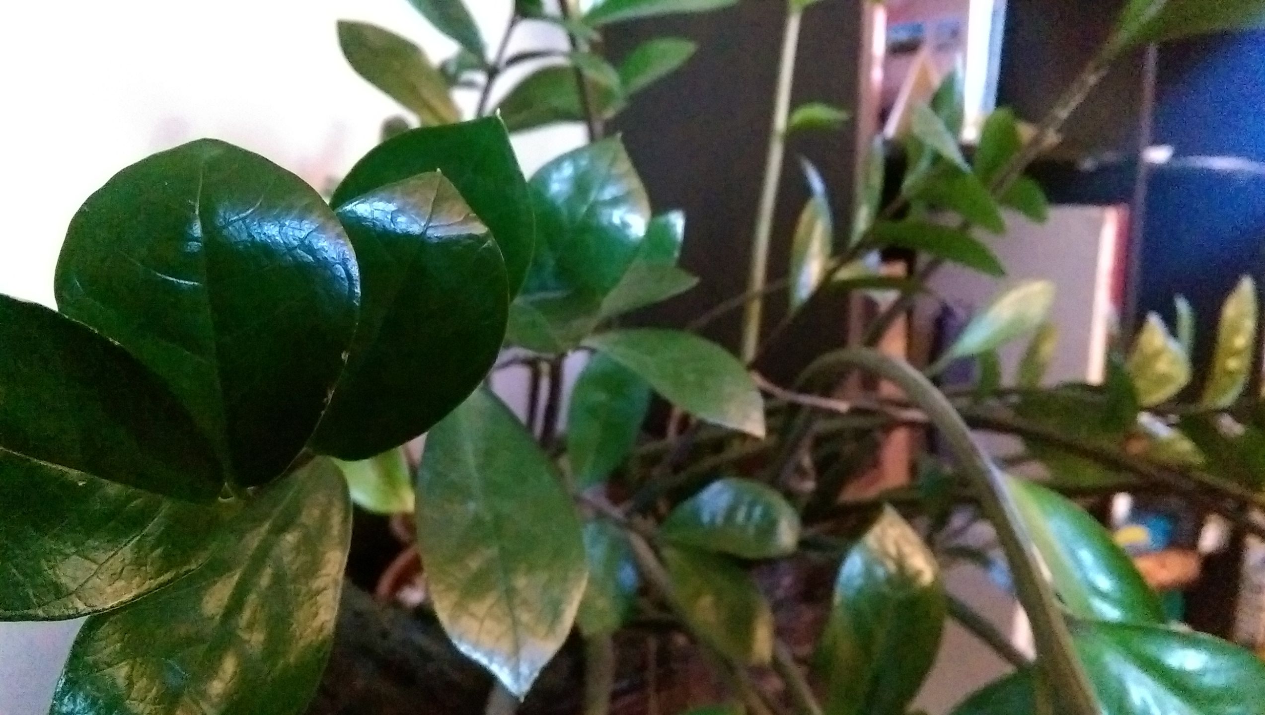 HTC One m8: podsumowanie testów i recenzja 69
